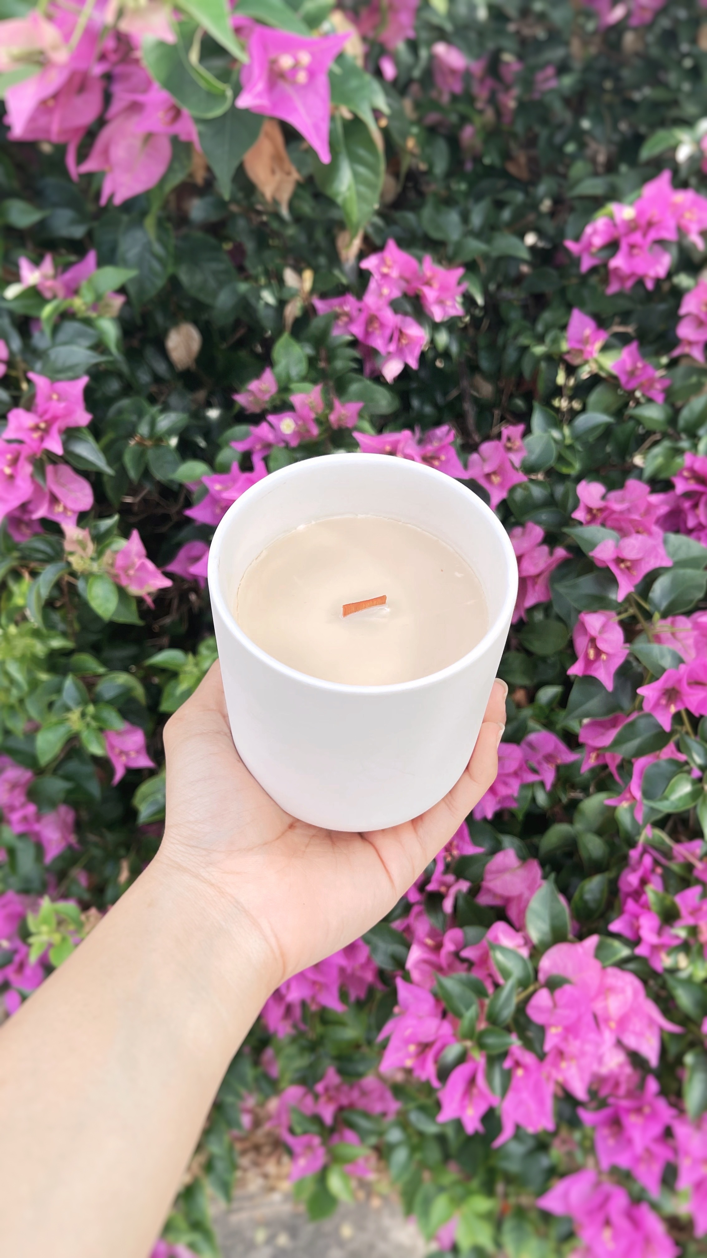 L'Air Du Jardin Scented Candles Senior Fragrance Candle 220g Lle Blanche  Ceramics Jar Aromatherapy Candle Home Decoration Gifts